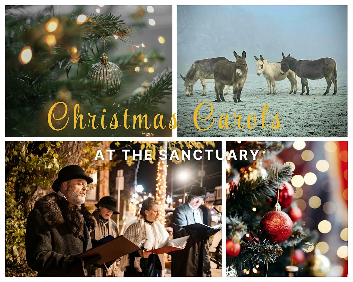 Christmas Carols at Knowle Donkey Sanctuary, 5 December | Event in Knowle | AllEvents