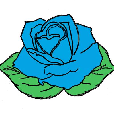 iiMedia
