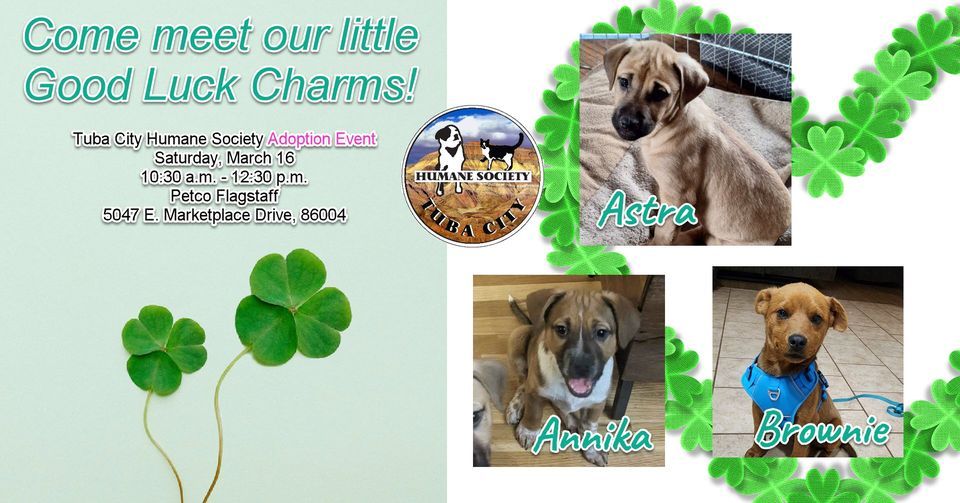 Tuba City Humane Society Adoption Event, Petco Flagstaff, 16 March 2024