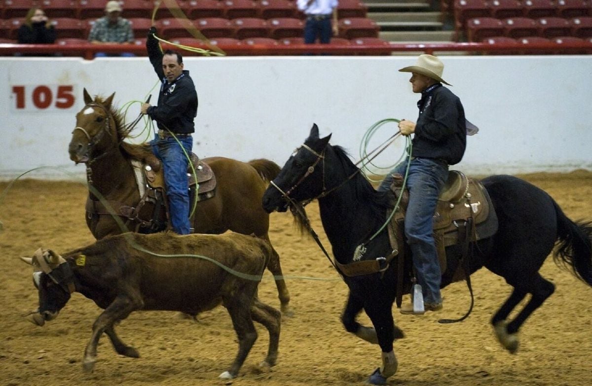 Outlaw Broncs: Bulls and Broncs at Cactus Petes Resort Casino Amphitheatre, 20 September | Event in Jackpot