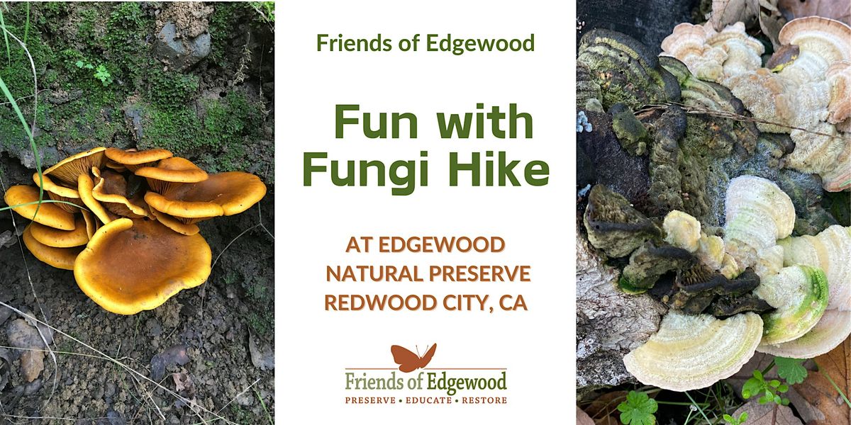 A Special Fun with Fungi Hike at Edgewood Park & Natural Preserve, 7 December | Event in Redwood City