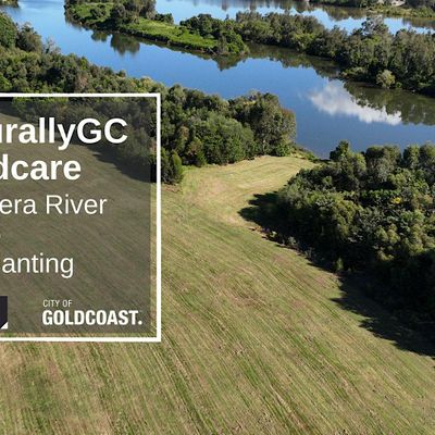 Coomera River Catchment Group- Tree Planting
