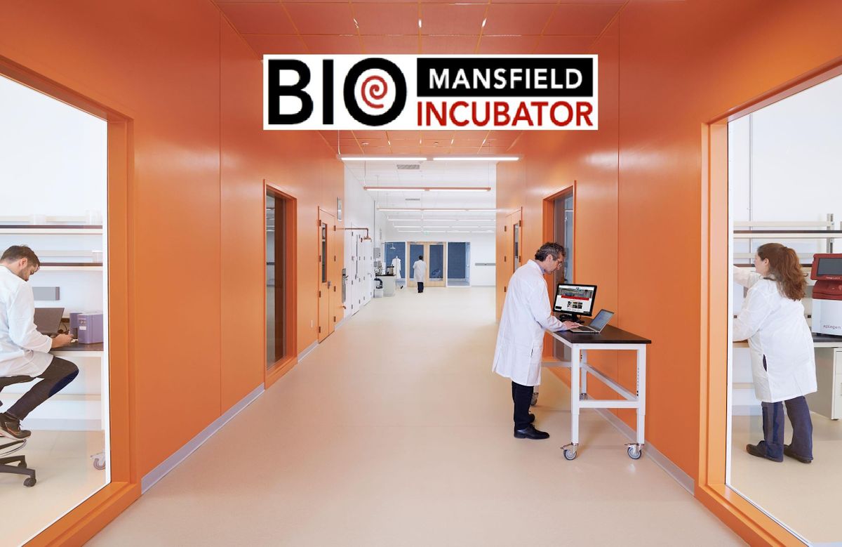 An Inside Look at the NIH SBIR Proposal Submission and Review Process