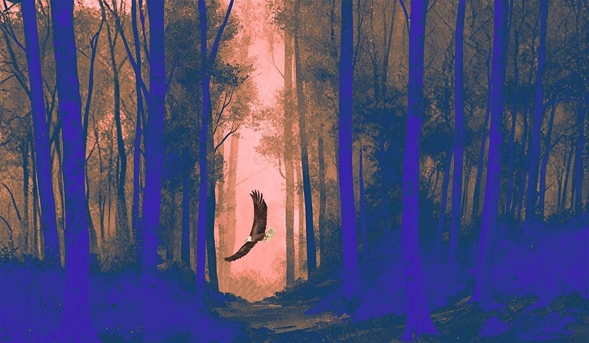 Ec(h)o - imaginarium & musique, 18 December | Event in Paris | AllEvents