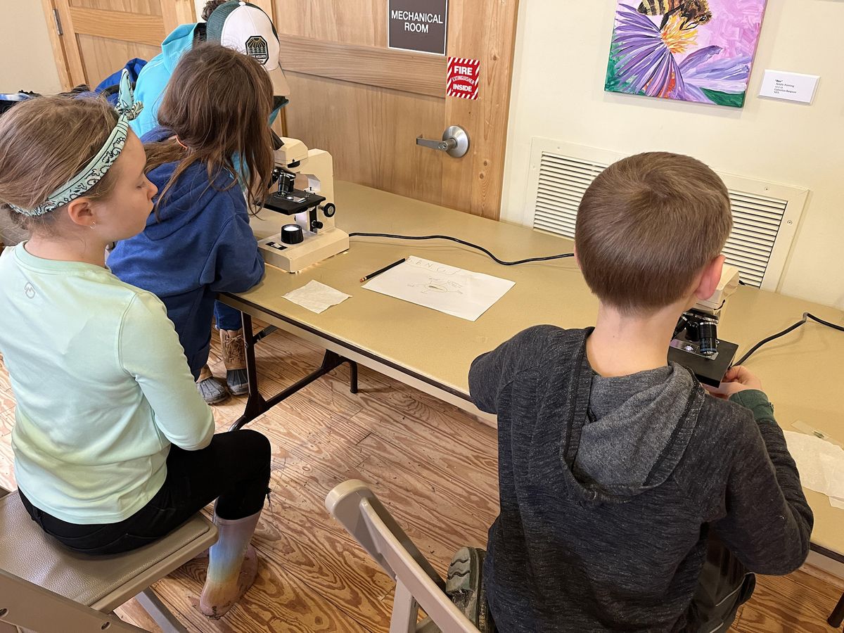 Jr. Naturalist Microscope Lab, Shelby Bottoms Nature Center & Greenway