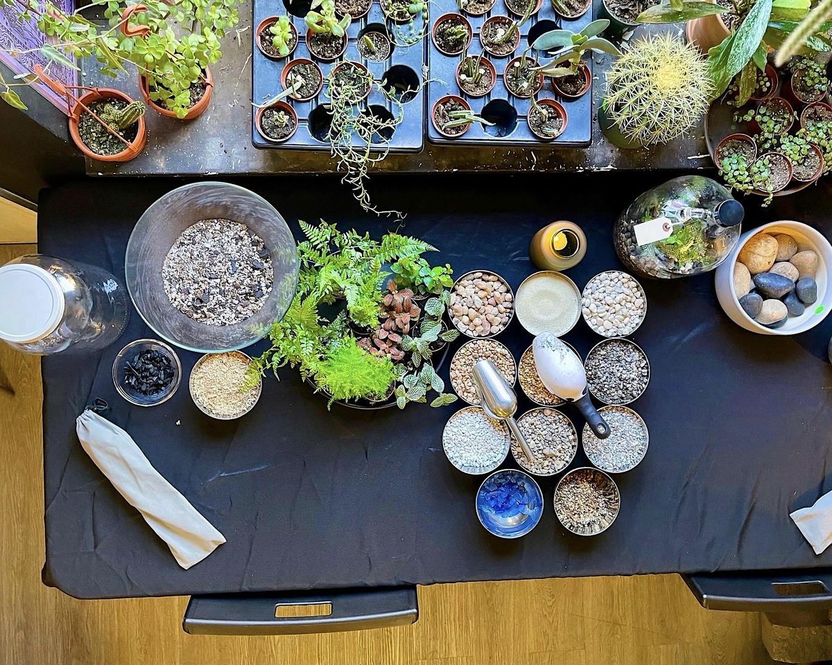 One Gallon BioActive Terrarium Workshop: Saturday November 18th , 6-8pm ...