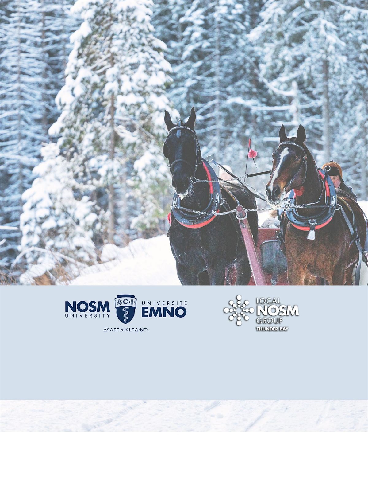 Sleigh rides, 426 McCluskey Drive, Thunder Bay, ON, Canada, 11 February