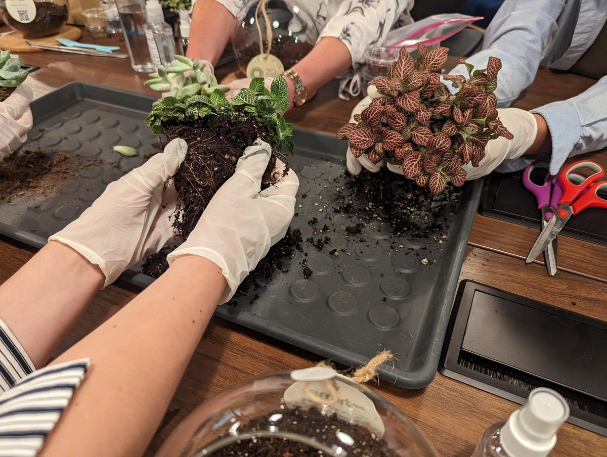 Closed Terrarium by Terrart, The Concrete Jungle, Brooklyn