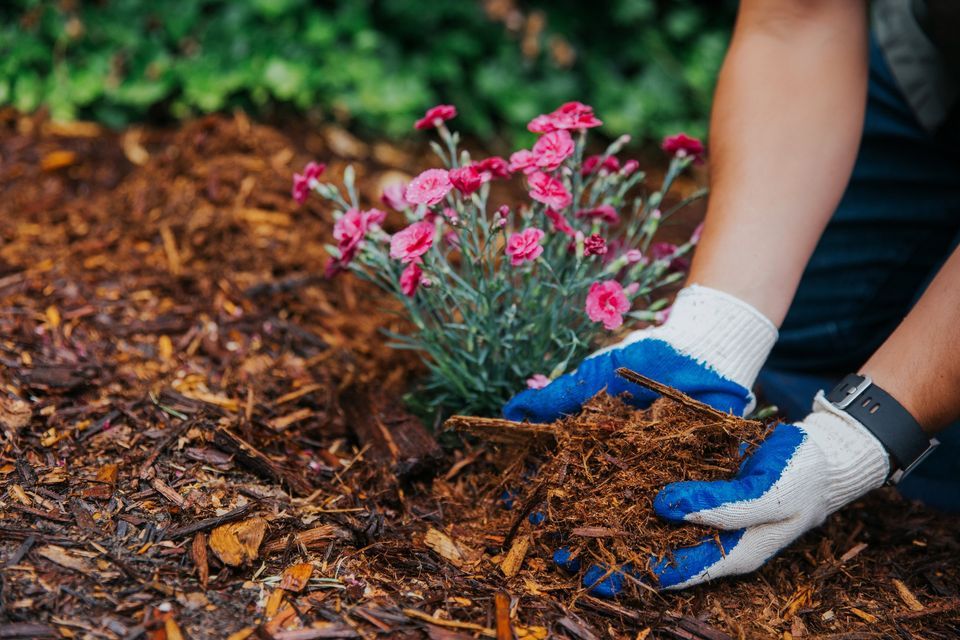 Roseville Utilities Mulch Mayhem 9000 Foothills Blvd Roseville CA roseville-utilities-mulch-mayhem-9000-foothills-blvd-roseville-ca