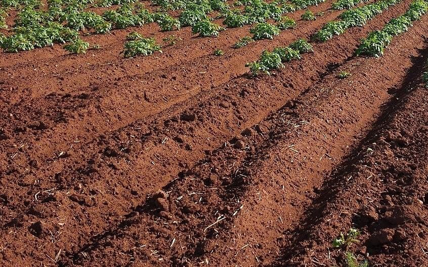 Devon Cornwall Soils Alliance Soil Organic Carbon SOC Field Day devon-cornwall-soils-alliance-soil-organic-carbon-soc-field-day