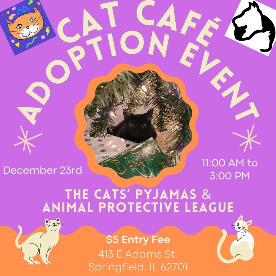 APL Cat Café Adoption Event, 413 E Adams St. Downtown Springfield, IL