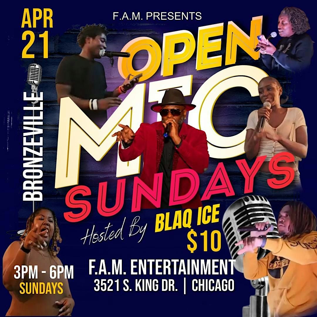 An Open Mic of Poetic brilliance and wordplay in full bloom in Chicago ...