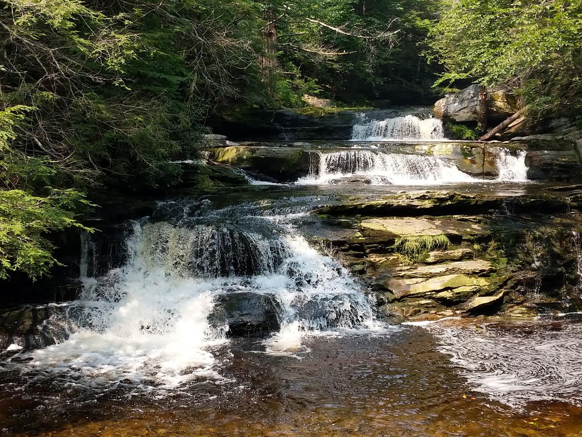 Five Waterfalls Catskill History and Ecology Walk, Catskills Experience