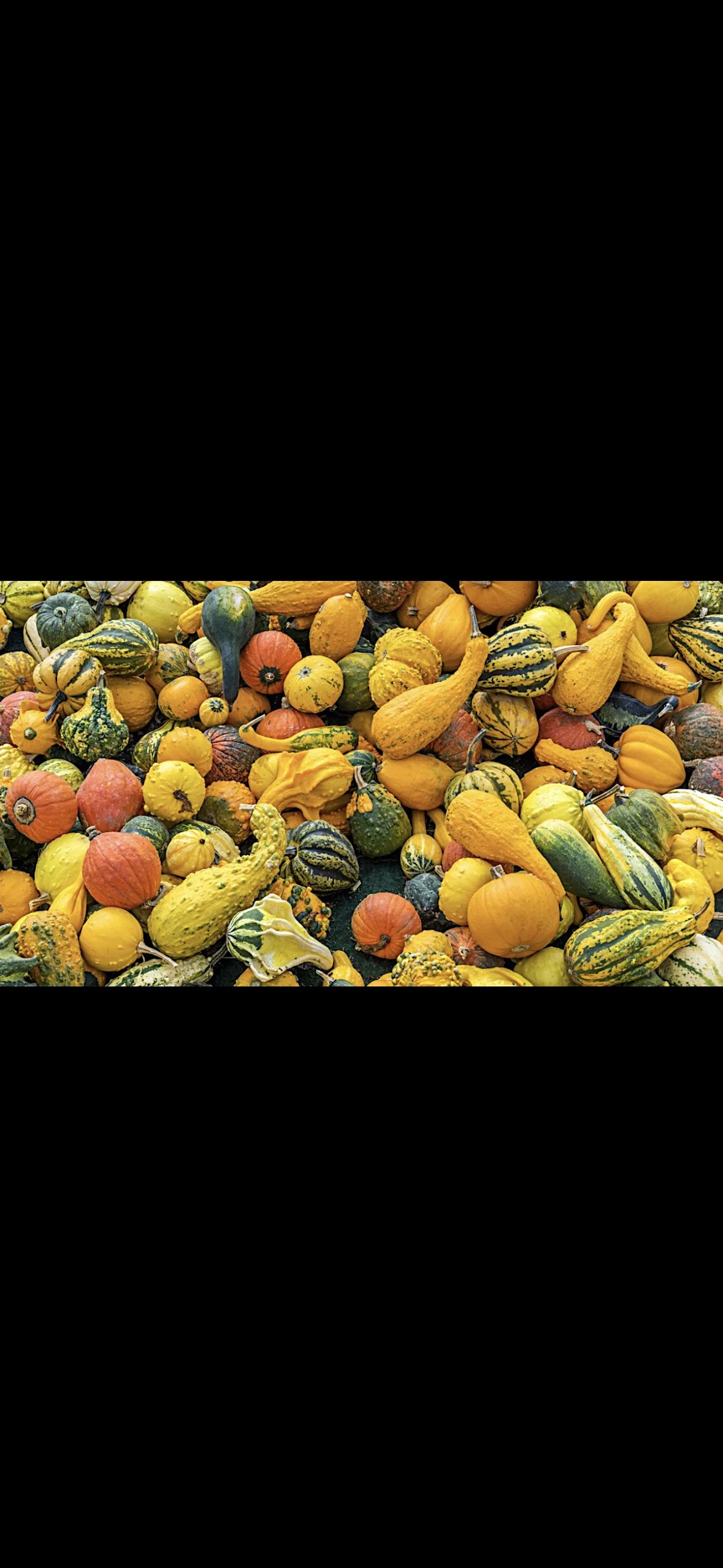 Squash Tasting + Lecture with Schreiber Farms... plus wine!, Barnard