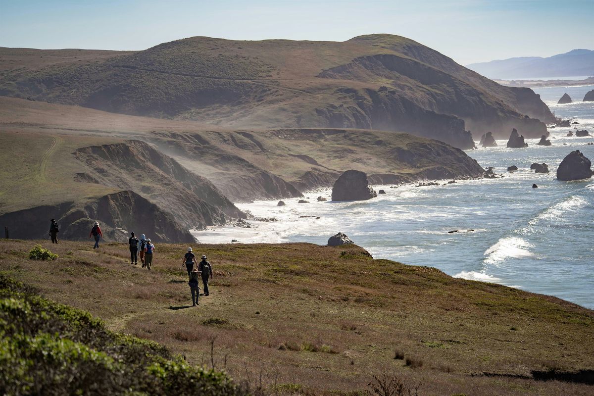 Life in the Tidepools at Estero Americano Coast Preserve, 3 December | Event in Bodega Bay | AllEvents