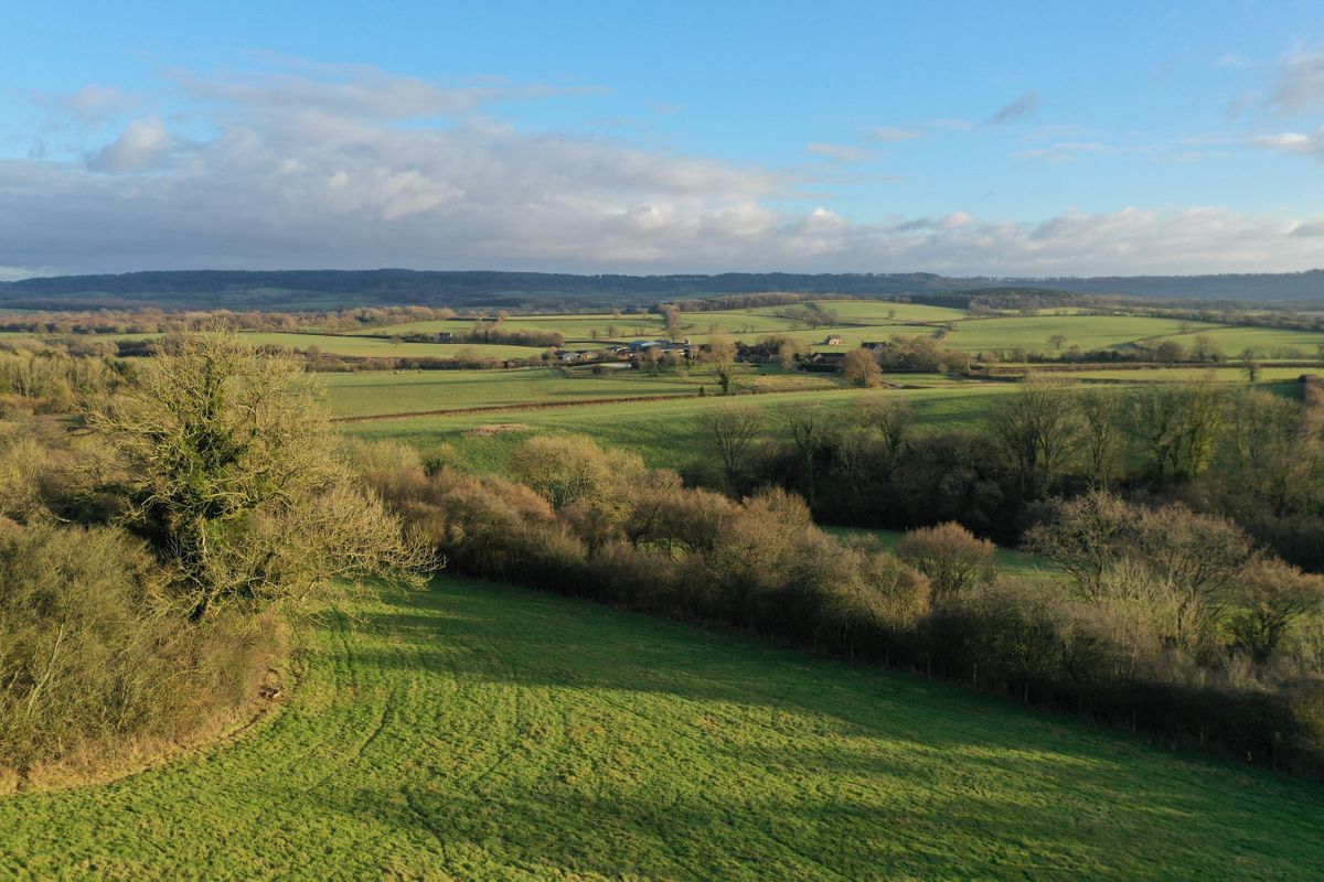 Introductory prewilding tour, Heal Somerset, Witham Friary, 13