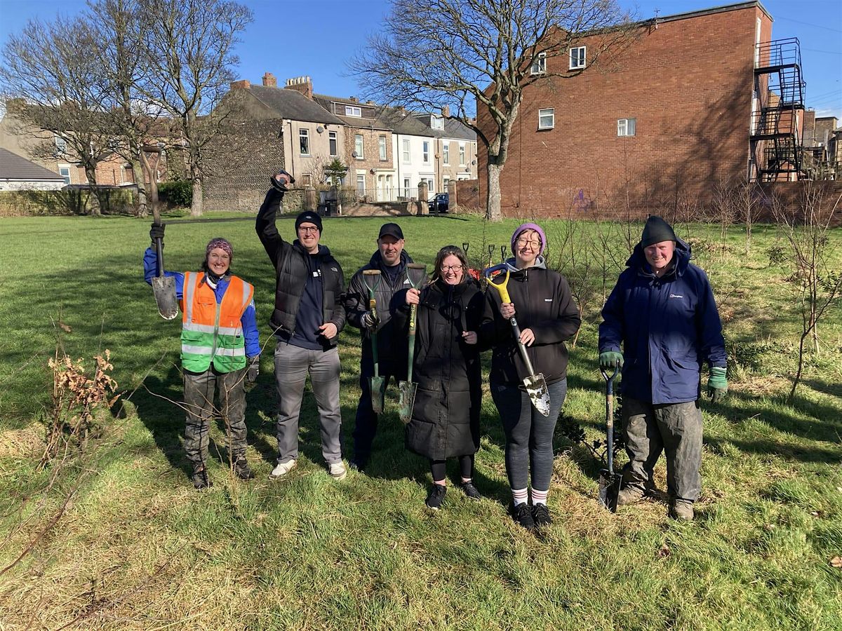 Tree Planting in Jarrow, South Tyneside for National Tree Week, 26 November | Event in Jarrow | AllEvents