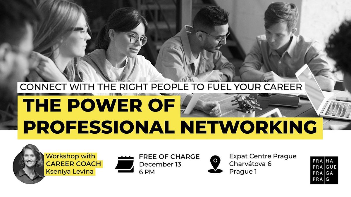 Expat The Power of Professional Networking, Expat Centre