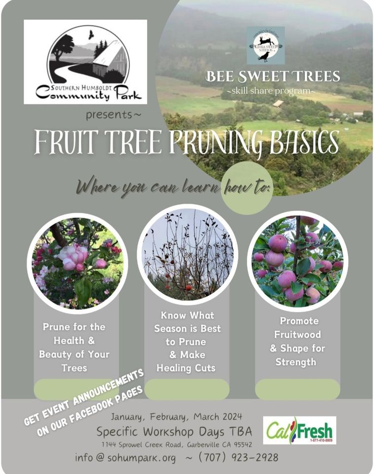 Laura sweet studios presents bee sweet trees skill share program series