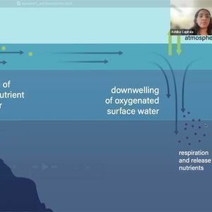 Ashika Con - Saturday (Time: TBD)