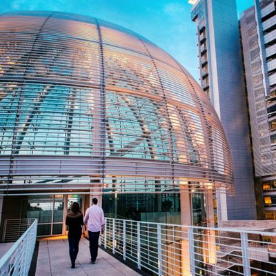San José, Planning, Building, Code Enforcement