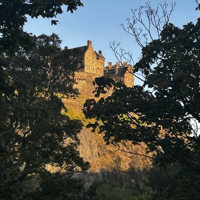 Vibes of Edinburgh logo