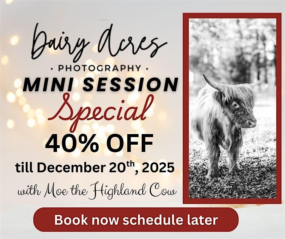 Mini Session Special | Event in Baker | AllEvents