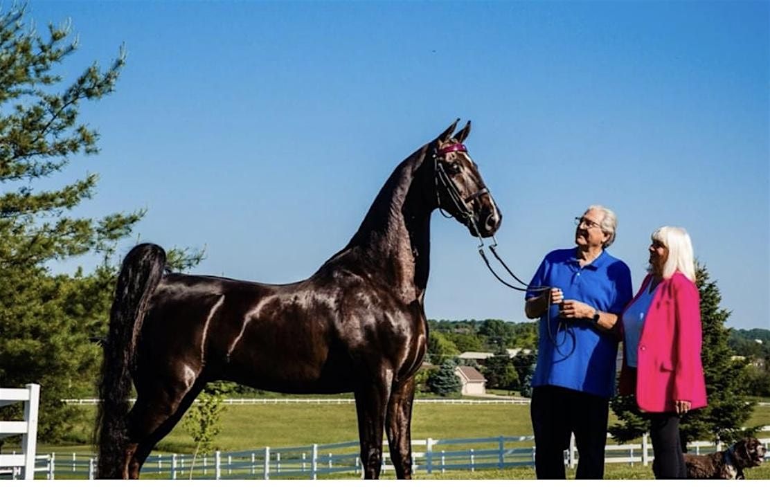 Horse Grooming Classes | Event in Verona | AllEvents