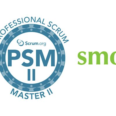 Professional Scrum Master II