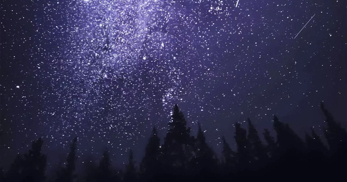 Stars with Ruby Waters, 5 July | Event in Picton | AllEvents