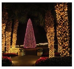 Christmas On Amelia Island 2021 The Annual Ritz Carlton Christmas Tree Lighting Benefiting Nassau County The Ritz Carlton Amelia Island Amelia City November 24 2021 Allevents In Christmas On Amelia Island 2021 The Annual Ritz Carlton Christmas Tree Lighting Benefiting Nassau County The Ritz Carlton Amelia Island Amelia City November 24 2021 Allevents In