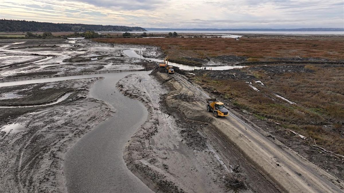 Tidal Wetland Restoration in the Stillaguamish Delta, 25 November | Event in Bellingham | AllEvents