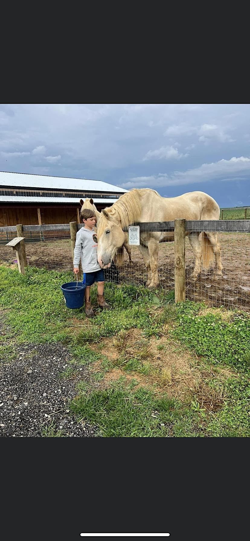 Sixth Session of Farmyard Chore Chart 2023, The Farmyard, Parkton