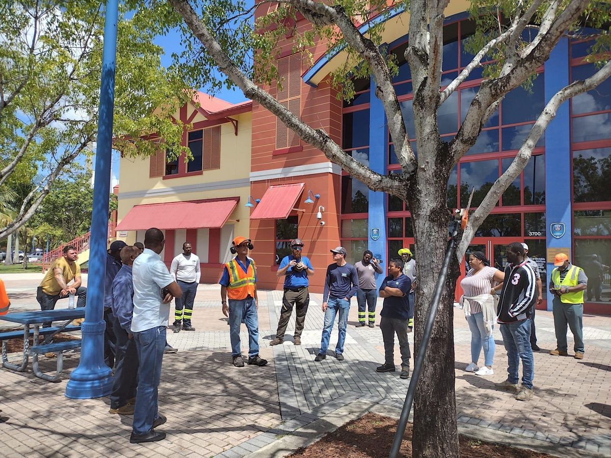 ADVANCED Tree Trimmer Certification SPANISH, Markham Park Target