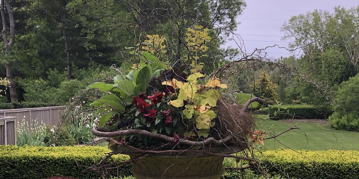 Start the Season Bright Spring Containers to Wake up the Garden, The