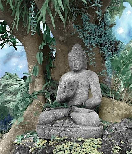 Guided Meditation and Discussion of Buddhist Teachings | Event in Venice | AllEvents