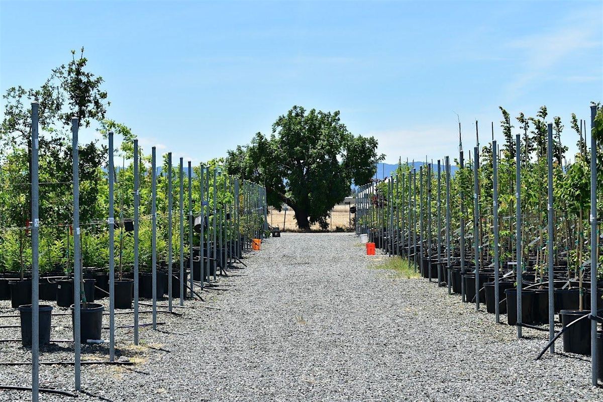 Nursery Workday, 4 December | Event in San Jose | AllEvents