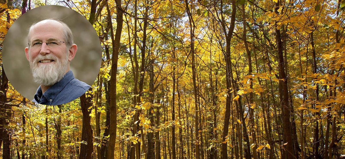 Hudson River Valley Ramble Forest Ecology Walk, Cary Institute of