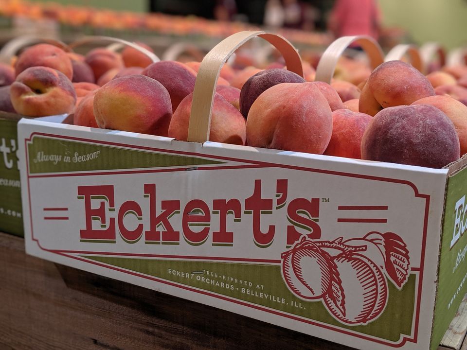 Peach Party & Vendor Fair, Eckert's Orchard KY, Versailles, 8 July 2023 AllEvents.in
