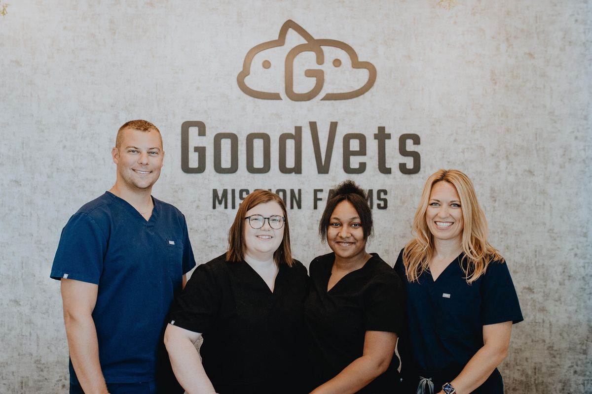 GoodVets Overland Park Leawood Summer Open House for Pets, GoodVets