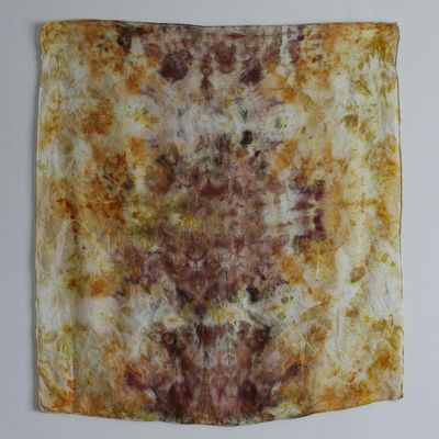 Vanessa Willms-Wong logo