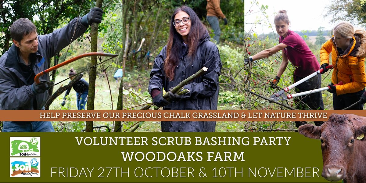 Woodaoks Farm Scrub Bashing Volunteer Party Friday 10th November