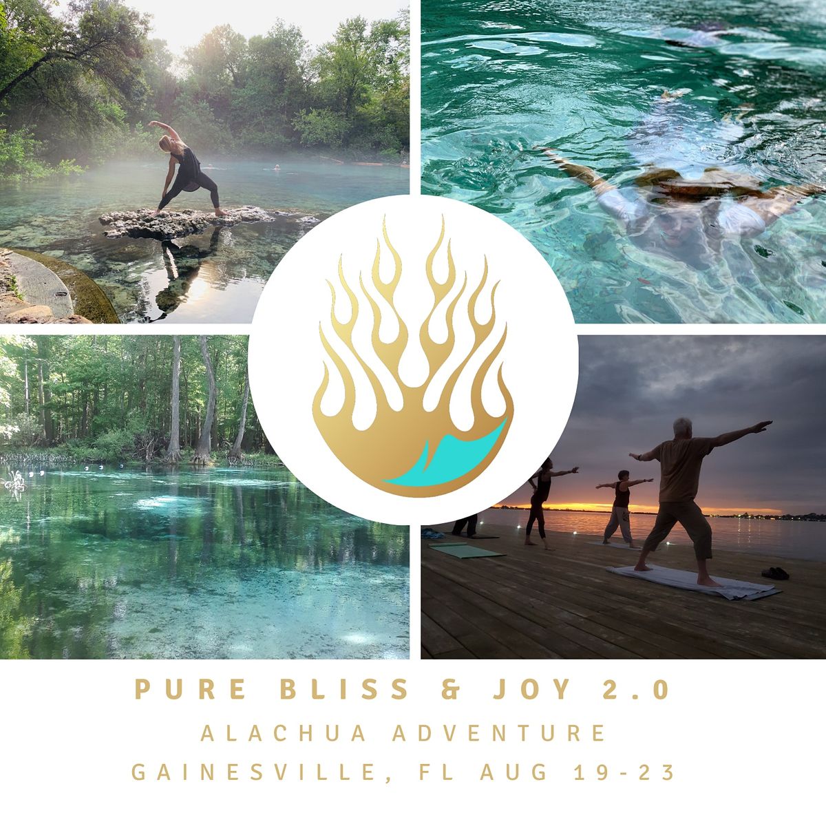 Totf4lfbdupuym Adoption Events December 2022 Gainesville Fl