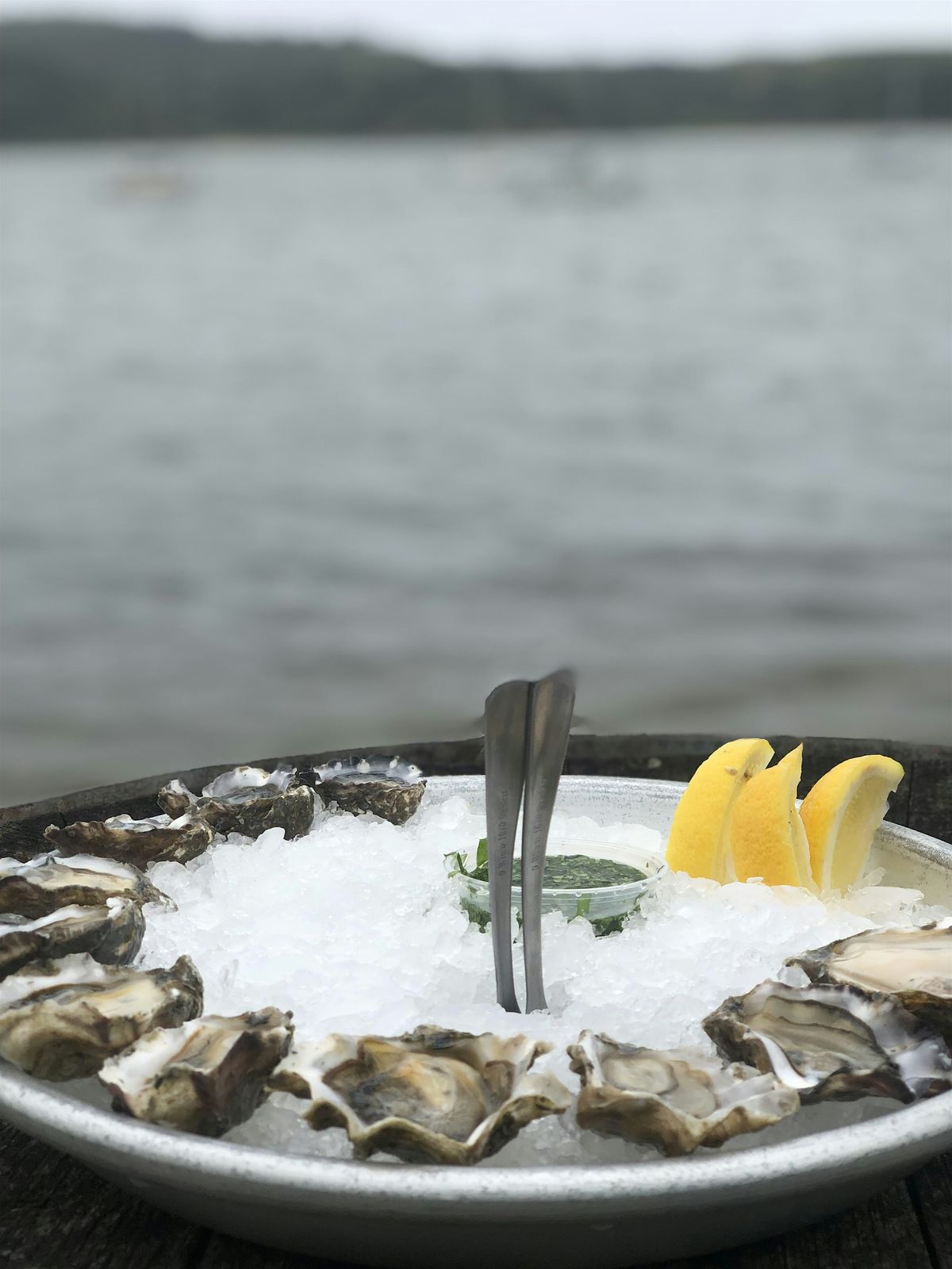 Savor Point Reyes (Kayaking & Food Tasting Tour), Miller Boat Launch ...