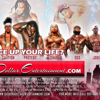 Silver Dollar Entertainment logo