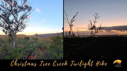 2022 National Christmas Tree Route Christmas Tree Creek Twilight Hike, John Forrest National Park, Orange  Grove, April 9 2022 | Allevents.in