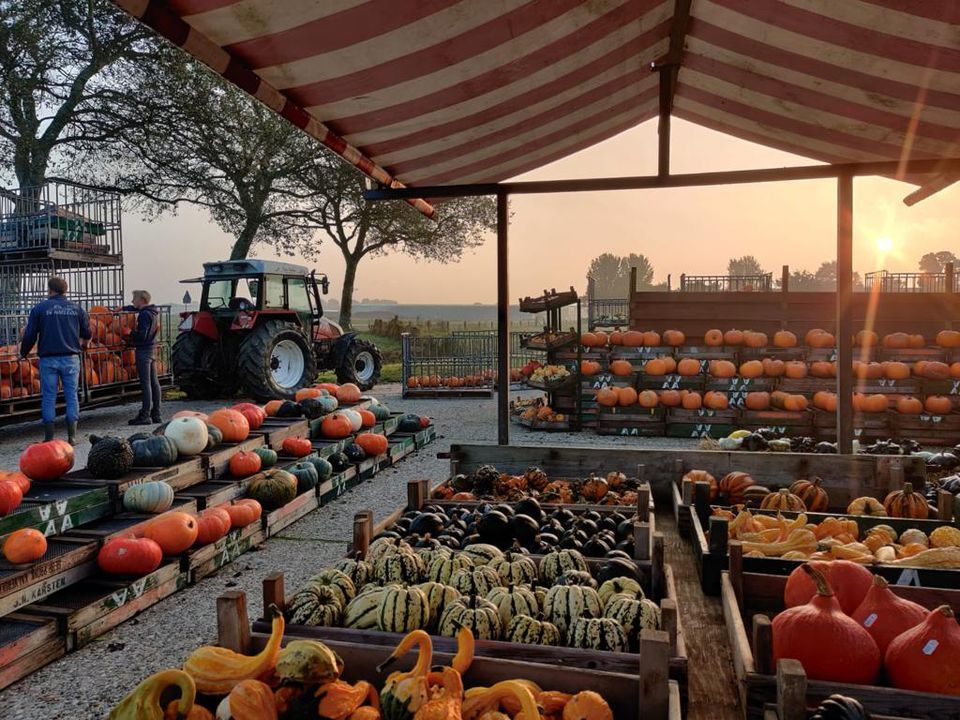 pompoen fair de marlequi 2022