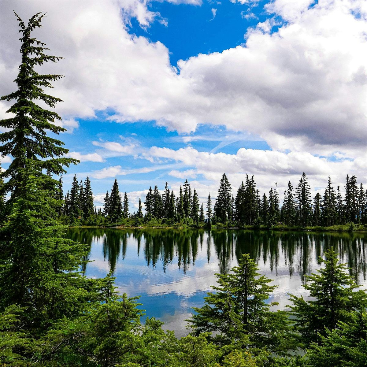 The Fundamentals of Nature Based Therapy, 11 July | Event in Vancouver | AllEvents