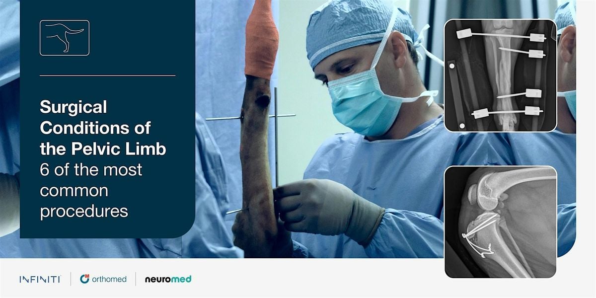 Surgical Conditions of the Pelvic Limb, 13 October | Event in Bristol | AllEvents