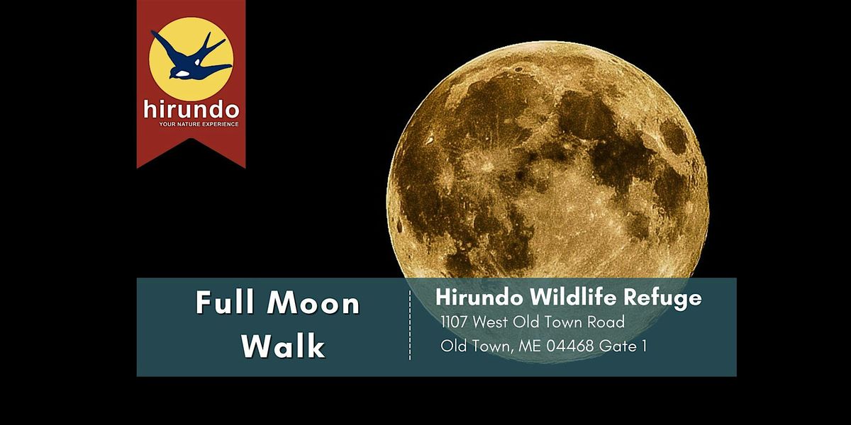 Hirundo Full Moon Walk | Event in Old Town | AllEvents
